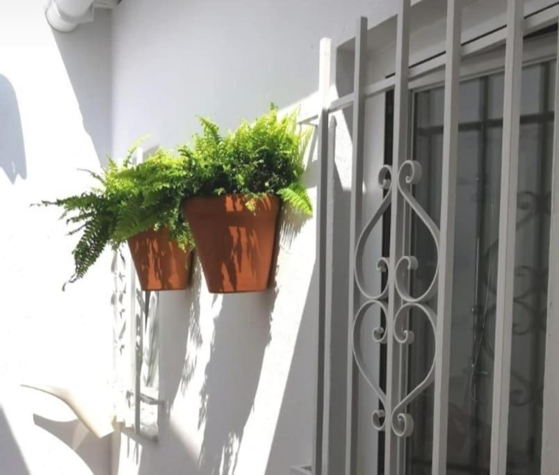 Вілла La Marieta, Casita Acogedora Y Centrica Кастільєха-де-ла-Куеста Екстер'єр фото